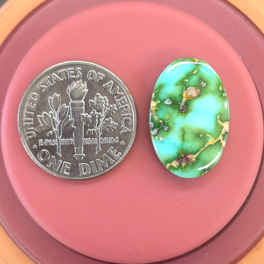 Stabilized Sonoran Gold Turquoise Oval
