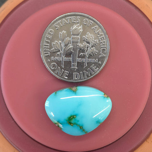 Stabilized Sonoran Gold Turquoise Freeform