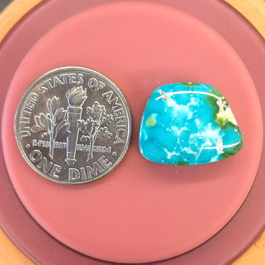 Stabilized Sonoran Gold Turquoise Freeform