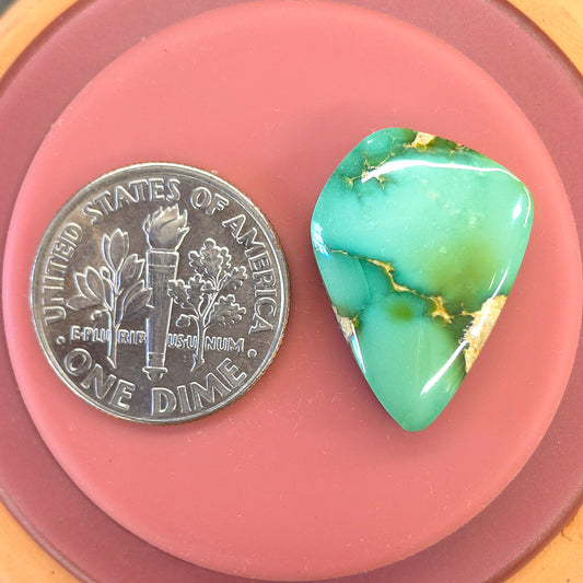Stabilized Sonoran Gold Turquoise Freeform