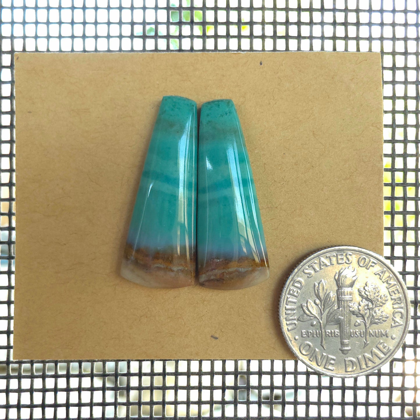 Natural Opalized Wood Freeform Pairs