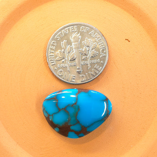 Stabilized Egyptian Prince Turquoise Freeform