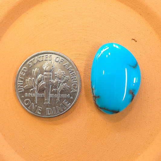 Stabilized Egyptian Prince Turquoise Freeform
