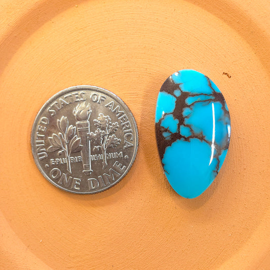 Stabilized Egyptian Prince Turquoise Freeform
