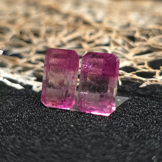 Brazilian Tourmaline (Bicolor) Rectangular Faceted Pair