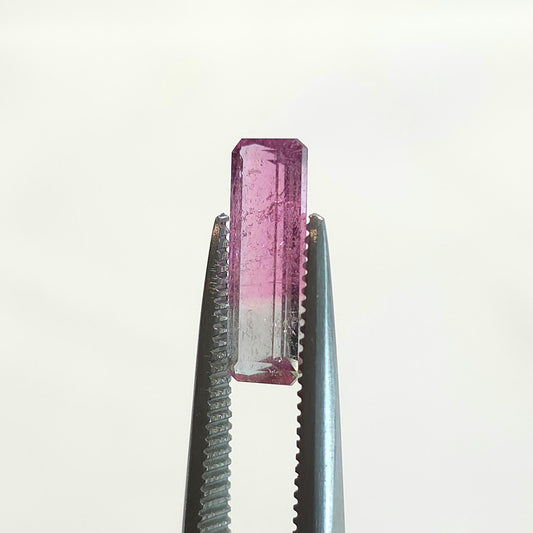 Brazilian Tourmaline (Bicolor) Rectangular Faceted Cut