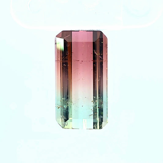 Brazilian Tourmaline (Bicolor) Rectangular Faceted Cut