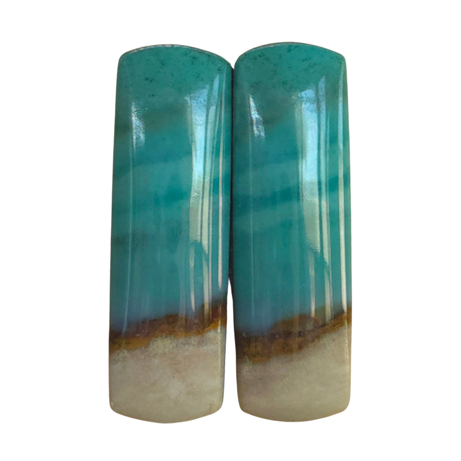 Opalized Wood