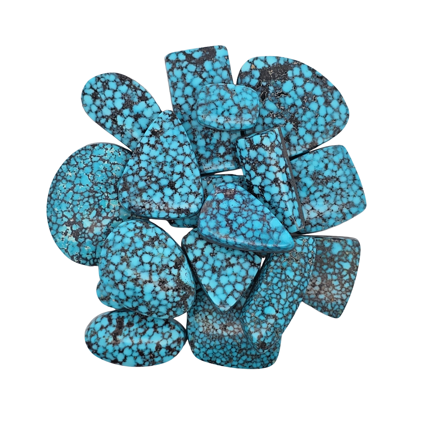 Kingman - Black Web Turquoise