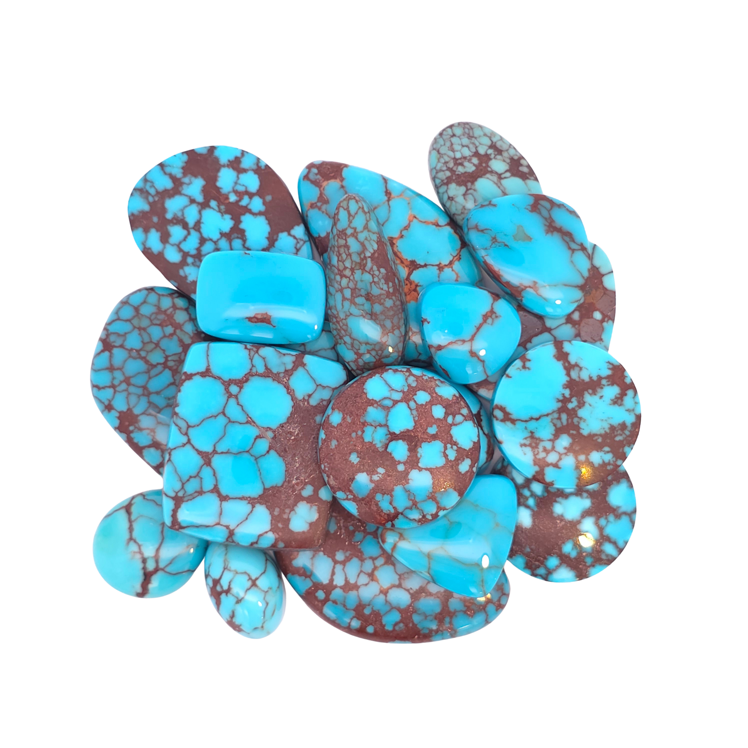 Egyptian Prince Turquoise