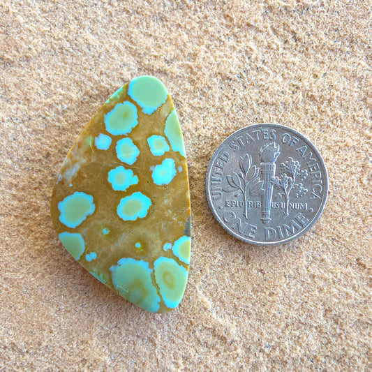 Stabilized Supernova Turquoise Cabochon