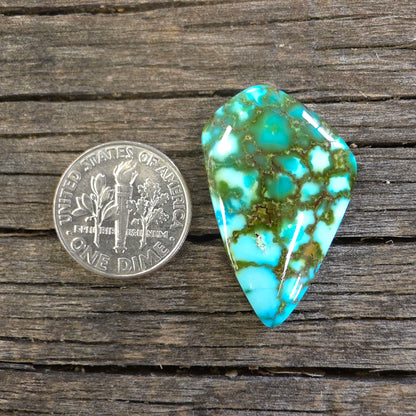 Stabilized Kingman Red Web Turquoise