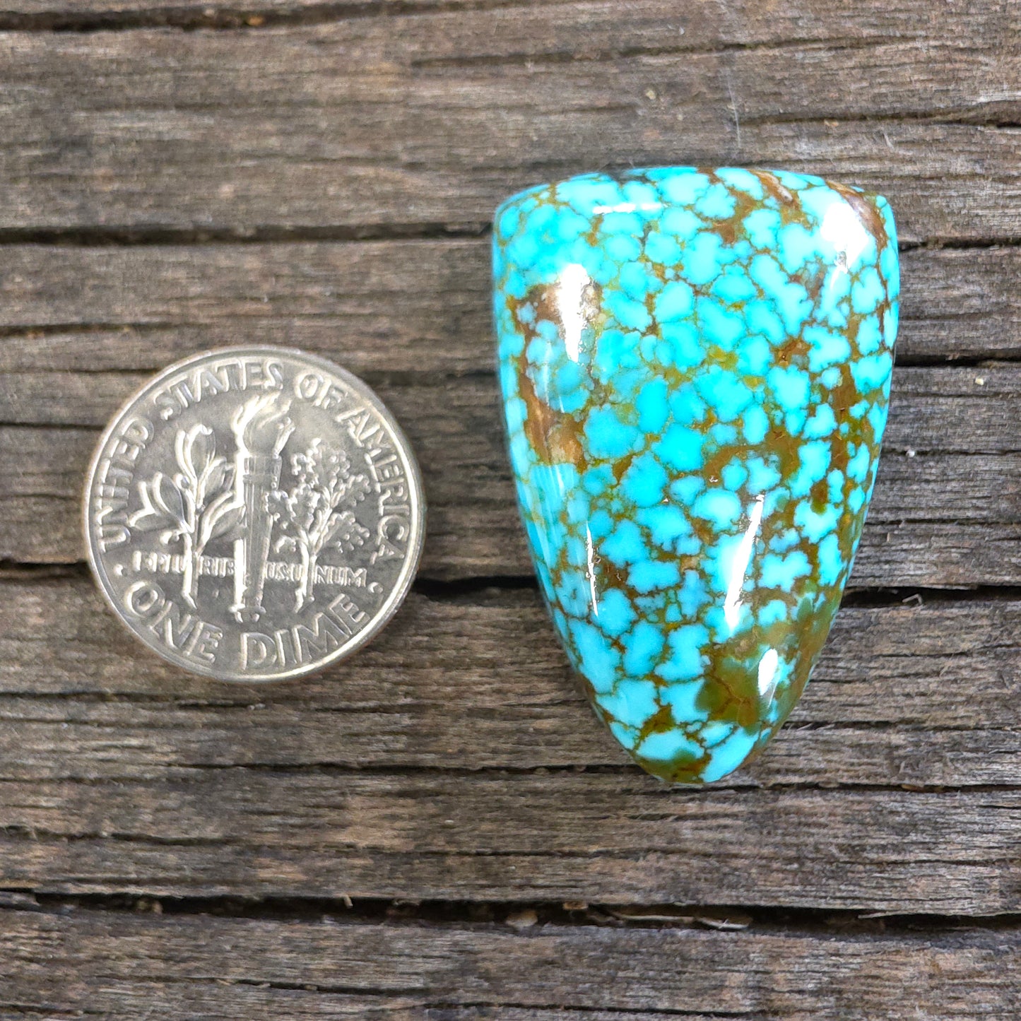 Stabilized Kingman Red Web Turquoise