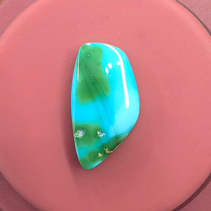 Stabilized Sonoran Gold Turquoise Freeform