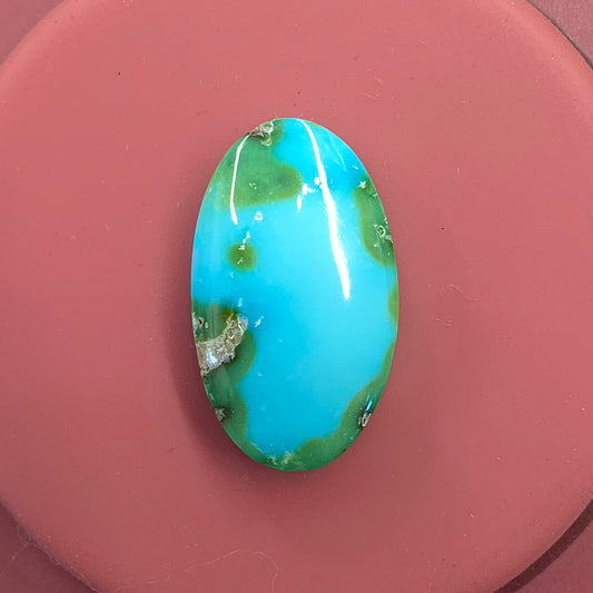Stabilized Sonoran Gold Turquoise Oval