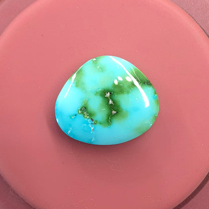 Stabilized Sonoran Gold Turquoise Freeform