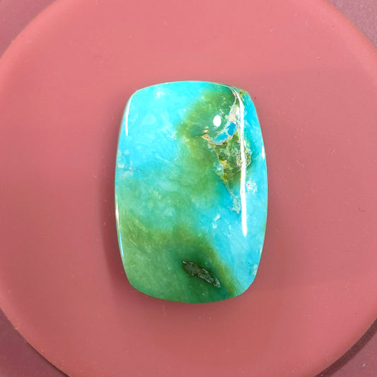 Stabilized Sonoran Gold Turquoise Rectangle