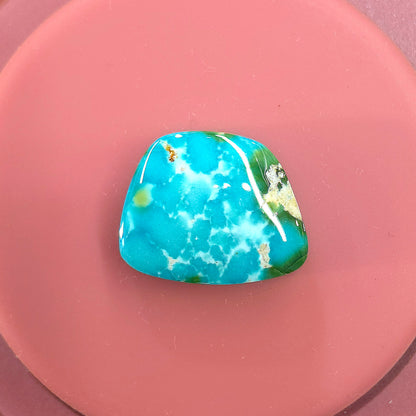 Stabilized Sonoran Gold Turquoise Freeform