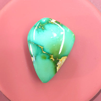 Stabilized Sonoran Gold Turquoise Freeform