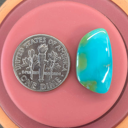 Stabilized Sonoran Gold Turquoise Freeform