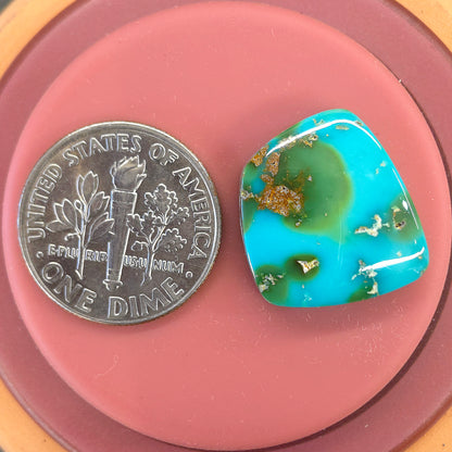Stabilized Sonoran Gold Turquoise Freeform