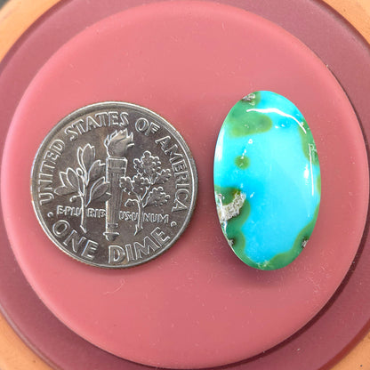 Stabilized Sonoran Gold Turquoise Oval