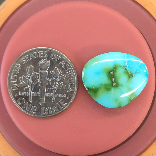 Stabilized Sonoran Gold Turquoise Freeform