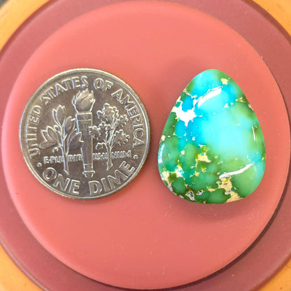 Stabilized Sonoran Gold Turquoise Freeform