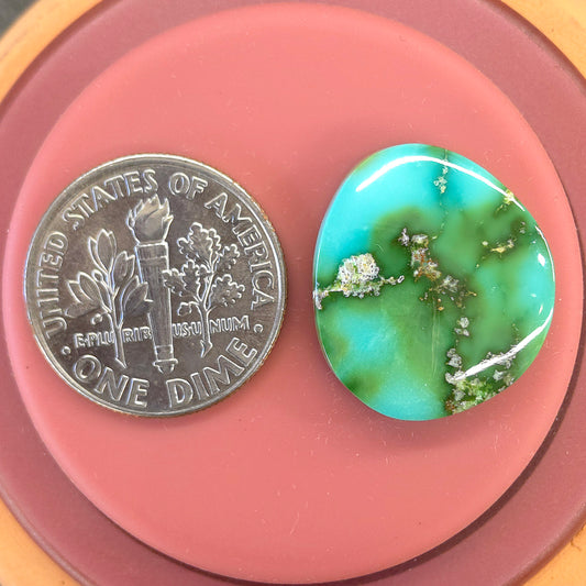 Stabilized Sonoran Gold Turquoise Freeform