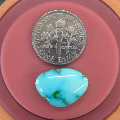 Stabilized Sonoran Gold Turquoise Freeform