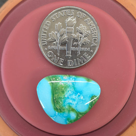 Stabilized Sonoran Gold Turquoise Freeform