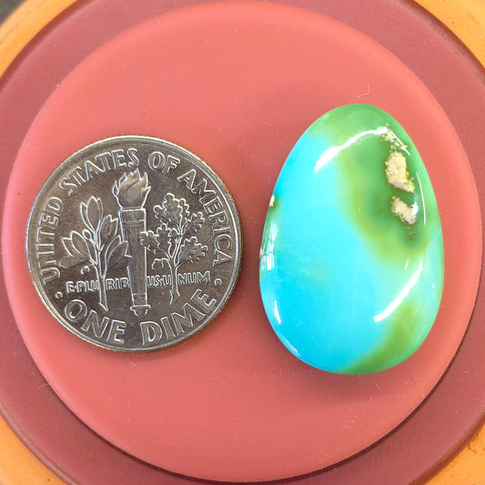 Stabilized Sonoran Gold Turquoise Freeform
