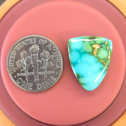 Stabilized Sonoran Gold Turquoise Freeform