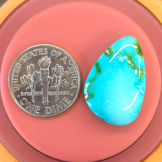 Stabilized Sonoran Gold Turquoise Freeform