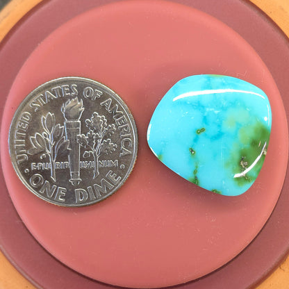 Stabilized Sonoran Gold Turquoise Freeform
