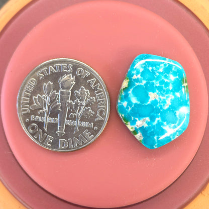 Stabilized Sonoran Gold Turquoise Freeform