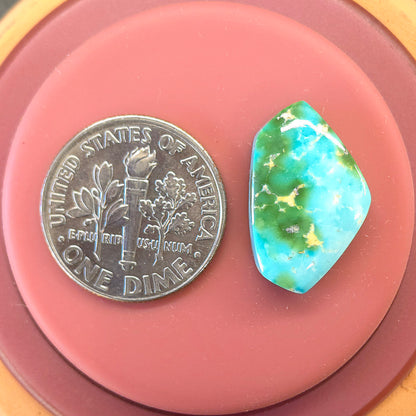 Stabilized Sonoran Gold Turquoise Freeform