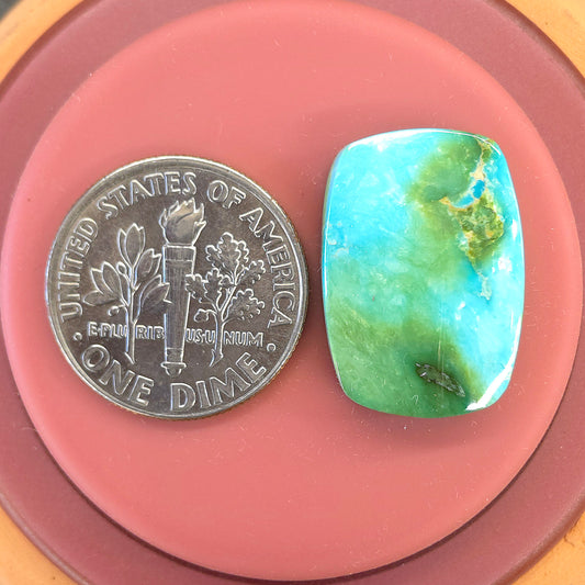 Stabilized Sonoran Gold Turquoise Rectangle