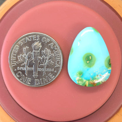 Stabilized Sonoran Gold Turquoise Freeform