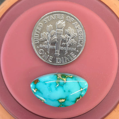 Stabilized Sonoran Gold Turquoise Freeform