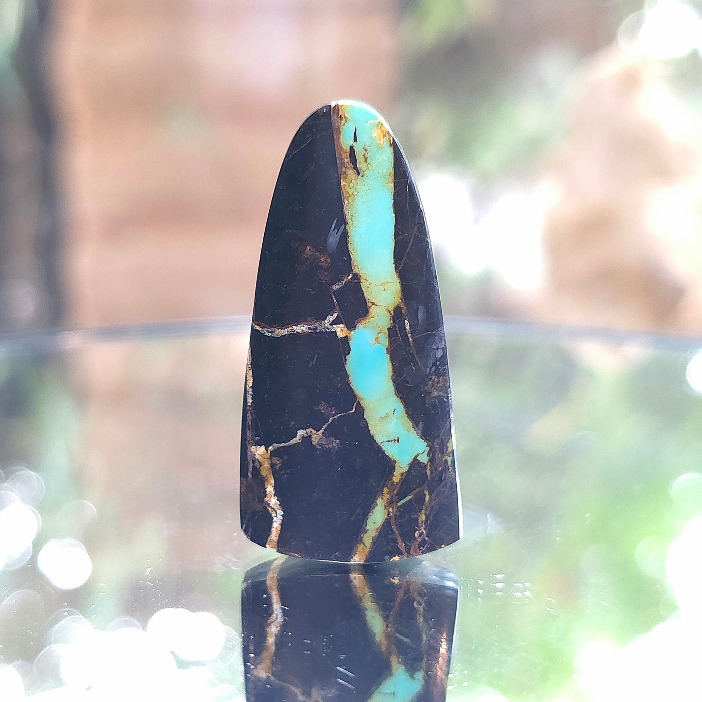 Natural Blackjack Turquoise Tongue