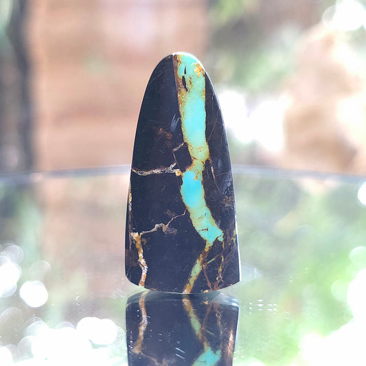 Natural Blackjack Turquoise Tongue