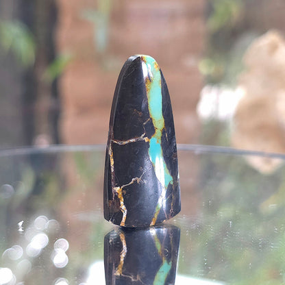 Natural Blackjack Turquoise Tongue