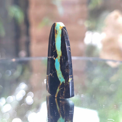 Natural Blackjack Turquoise Tongue