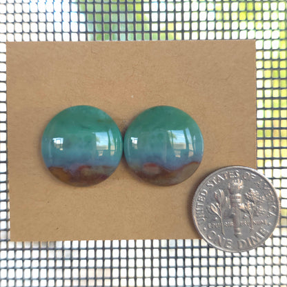 Natural Opalized Wood Round Pairs