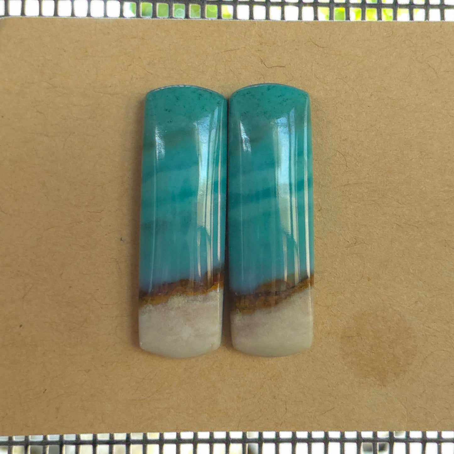 Natural Opalized Wood Rectangular Pairs