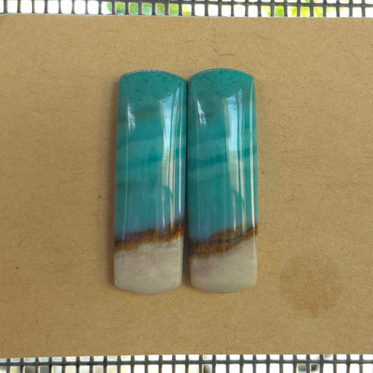 Natural Opalized Wood Rectangular Pairs