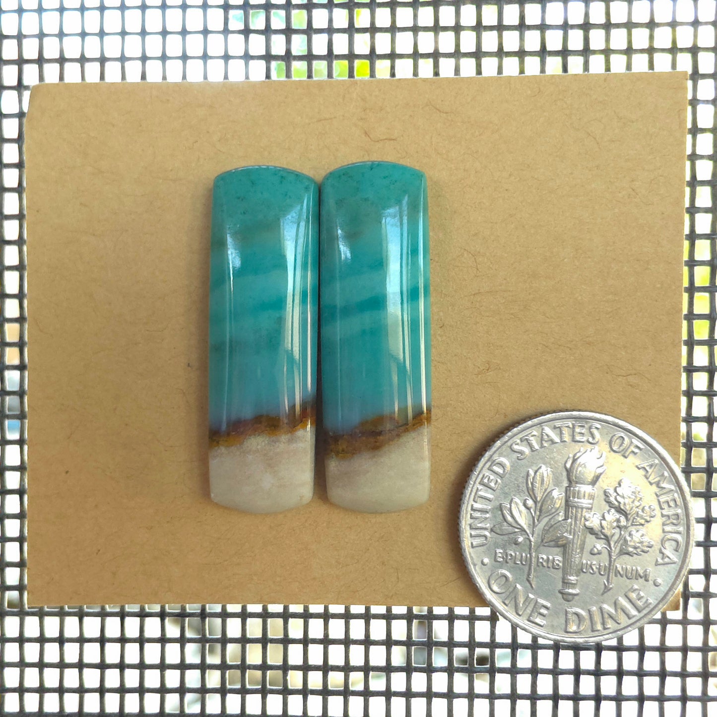 Natural Opalized Wood Rectangular Pairs