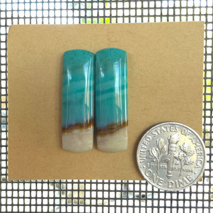 Natural Opalized Wood Rectangular Pairs