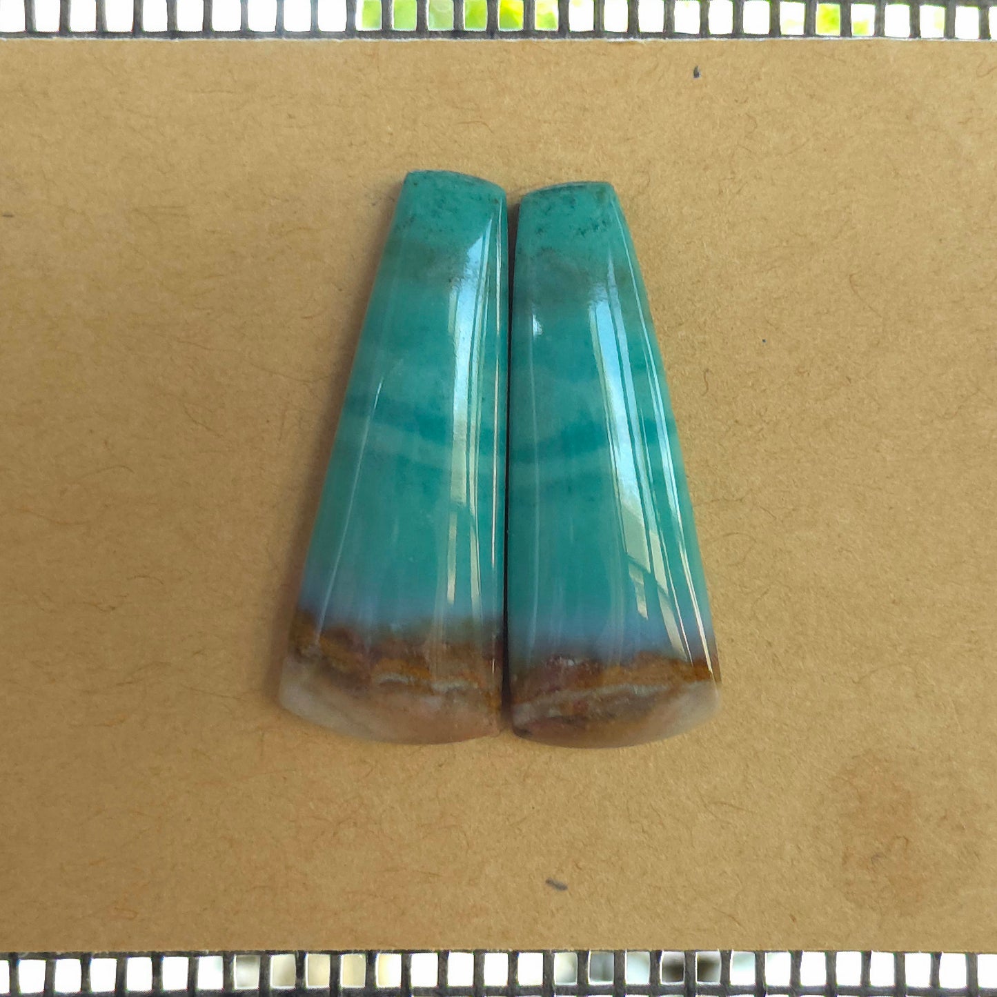 Natural Opalized Wood Freeform Pairs